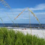 Zwischen Wattenmeer und Wellnessparadies: Herbert Faschings Sylt-Erlebnisse