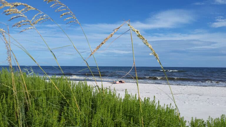 Zwischen Wattenmeer und Wellnessparadies: Herbert Faschings Sylt-Erlebnisse